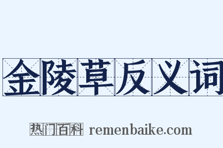 金陵草反义词是什么意思的图片